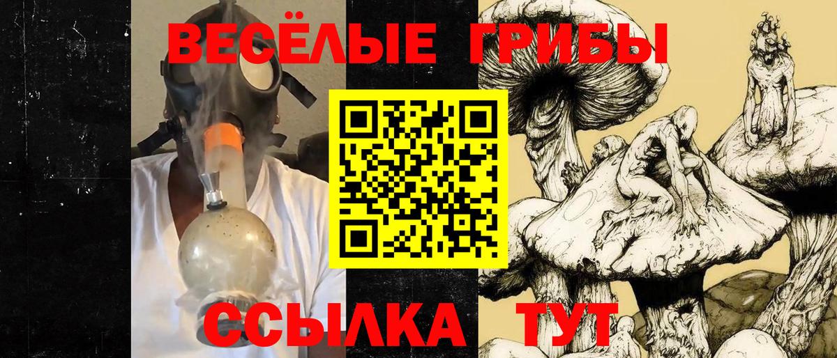 Галлюциногенные грибы мухоморы  Псилоцибиновые грибы Psilocybine cubensis  Вход с VPN  Вольск 